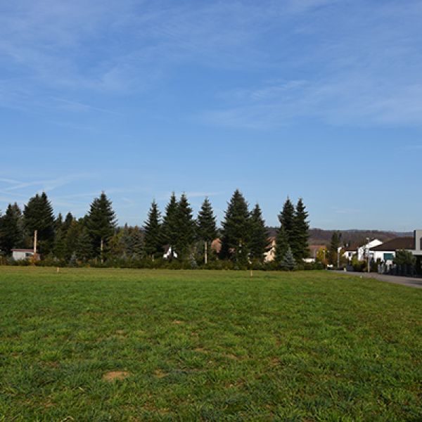 Bauland